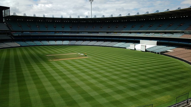 这将为森林 这将为森林