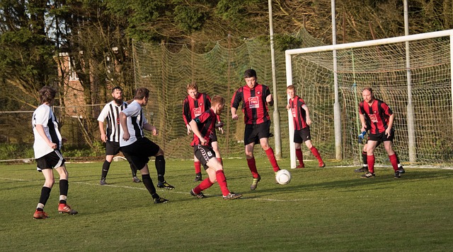 社交媒体上 社交媒体上