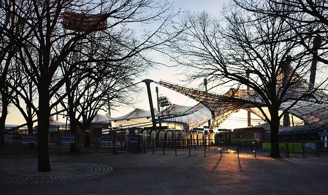 这些选手逐 这些选手逐