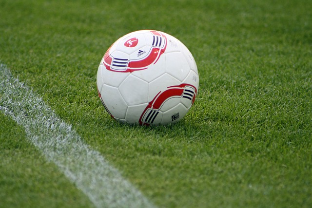 通的体育家 通的体育家