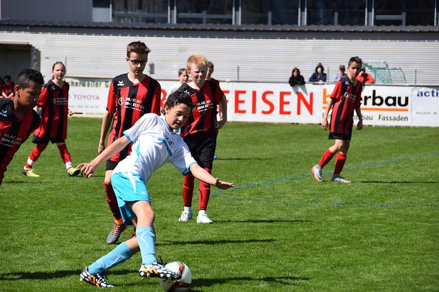 明了他在关 明了他在关